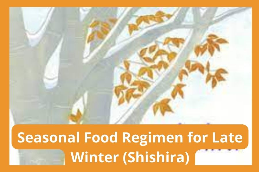 Seasonal Food Regimen for Late Winter (Shishira)