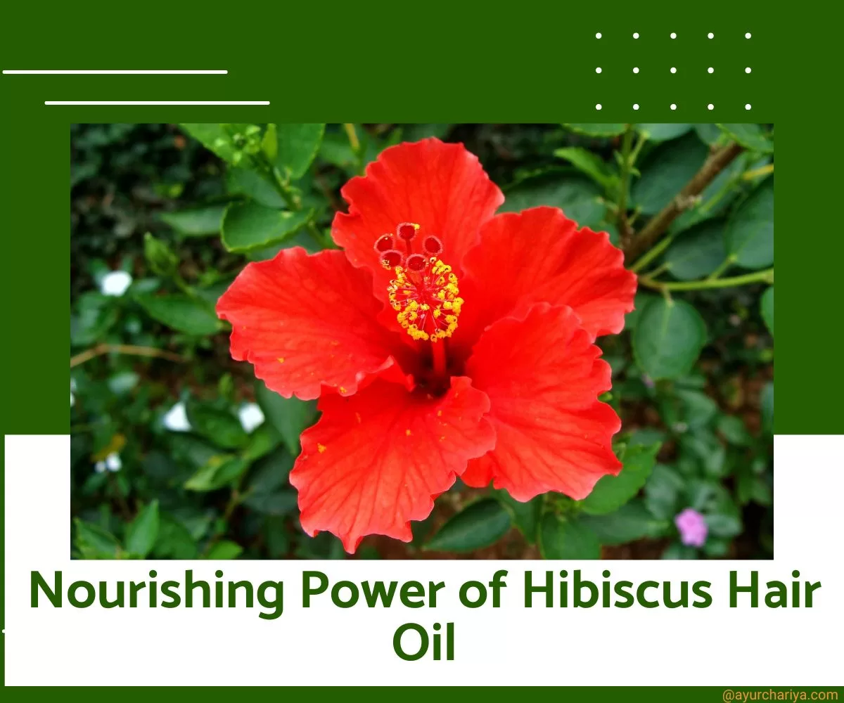 hibiscus-hair-oil