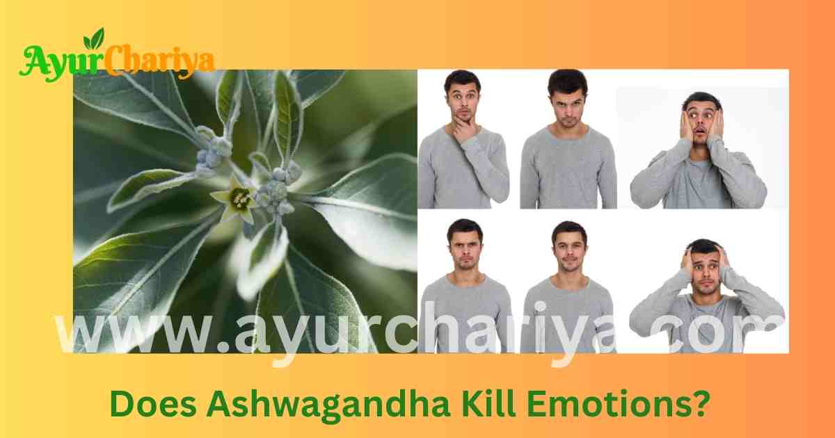 Does Ashwagandha Kill Emotions