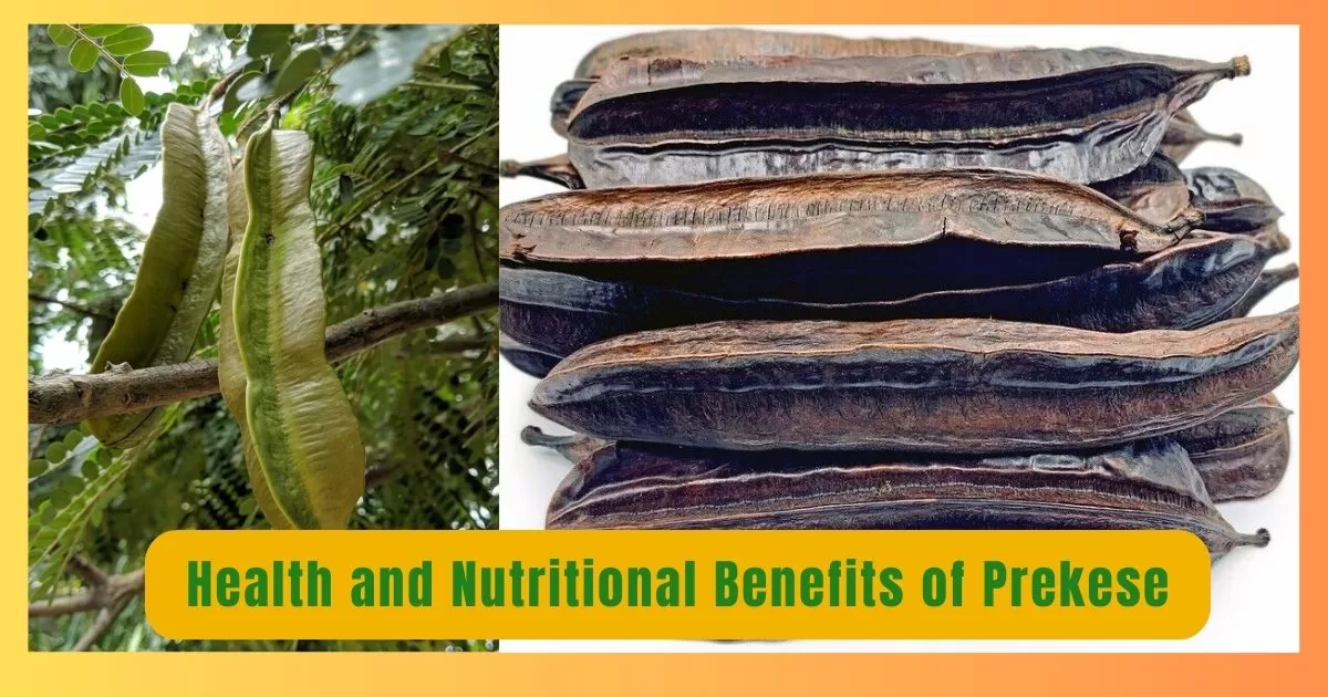 Health and Nutritional Benefits of Prekese